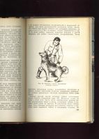Лот: 16195221. Фото: 4. Пособие по охотничьему собаководству... Красноярск