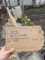 Лот: 22170468. Фото: 7. Саженцы роз