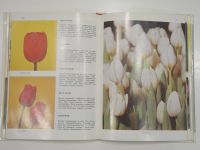 Лот: 19468081. Фото: 2. книга альбом нарциссы тюльпаны... Дом, сад, досуг