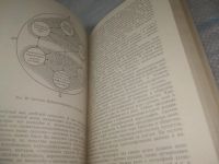 Лот: 25526014. Фото: 5. ВбР/оз(4092365)Берлянт А.М. Карта...