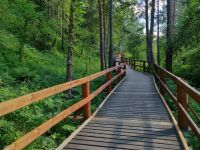 Лот: 15559457. Фото: 6. Oneplus 6 6/64 красный