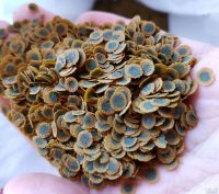 Лот: 17881748. Фото: 5. Корм Tetra PRO Algae на вес Чипсы...