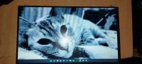 Лот: 18607144. Фото: 2. Матрица 15.6, 30pin, slim,уши... Комплектующие
