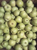 Лот: 8332443. Фото: 2. Яблоки Краснодарские. Крупные. Продукты