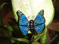 Лот: 362399. Фото: 3. Изделия из полимерной глины брошь... Красноярск