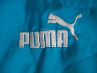 Лот: 6291698. Фото: 4. Puma шорты спортивные голубые... Красноярск