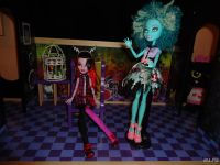 Лот: 10117070. Фото: 7. Кукла Monster High (Хани Свомп...