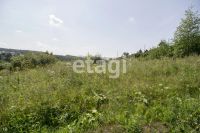 Лот: 25289399. Фото: 2. участок , садоводческое некоммерческое... Продажа