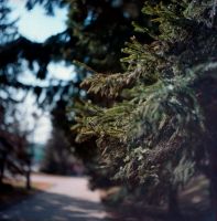Лот: 11027516. Фото: 5. Среднеформатный фотоаппарат Салют...