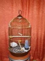 Лот: 9080376. Фото: 3. Клетка для попугая+стойка. Растения и животные