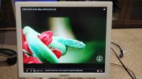 Лот: 13311219. Фото: 7. Монитор Samsung SyncMaster 971P...