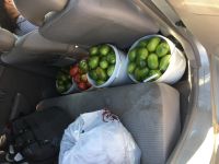 Лот: 4954225. Фото: 2. Настоящие минусинские помидоры... Продукты