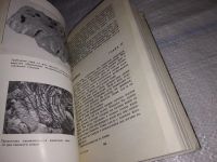 Лот: 16480617. Фото: 5. Устиев Е. По ту сторону ночи...