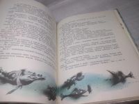 Лот: 25794110. Фото: 3. озю,вбр(00-044) Л.Кэррол. Приключения... Литература, книги