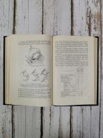 Лот: 24792114. Фото: 5. Жмакин К.Н., Сыроватко Ф.А. Акушерский...