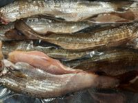 Лот: 17823498. Фото: 2. Хариус солёный, Ангарский, без... Продукты