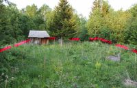 Лот: 5664439. Фото: 4. продам! земельный участок, дачу... Красноярск