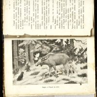 Лот: 20353890. Фото: 5. Сельма Лагерлеф. Чудесное путешествие...