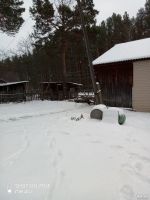 Лот: 17144944. Фото: 2. Дом Красноярский край Сухобузимский... Продажа