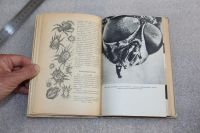 Лот: 19255961. Фото: 5. Книга: Карл Фриш "Десять маленьких...
