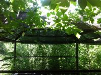 Лот: 7812450. Фото: 6. Беседка совдеповская, надежная...