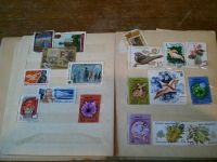 Лот: 3064939. Фото: 4. Коллекция советских марок - откопал...