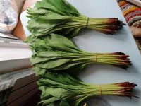 Лот: 16034649. Фото: 2. Черемша сибирская. Продукты