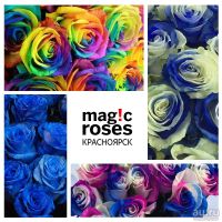 Лот: 12143625. Фото: 2. Наполовину синие розы Magic Blue... Цветы, букеты
