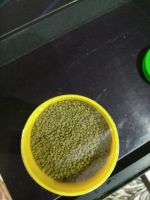 Лот: 9490610. Фото: 2. Корм Sera Granugreen (135 г/250... Аквариумистика