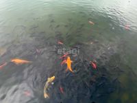 Лот: 25295109. Фото: 18. 5-комн. и более таунхаус , Красноярск...