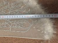 Лот: 12702664. Фото: 3. Крылья крылышки ангела бабочки... Новый год!