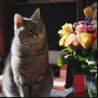 Лот: 4829341. Фото: 5. Цветная профессиональная негативная...