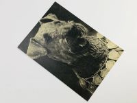 Лот: 23296544. Фото: 2. Эрдель-терьер. Открытка. 1969. Открытки, билеты и др.