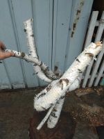 Лот: 22835993. Фото: 3. Коряга березовая. Красноярск