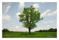 Лот: 1779503. Фото: 2. Циркулярный поляризационный фильтр... Аксессуары, расходные материалы