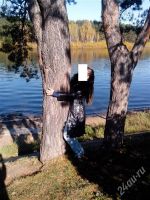 Лот: 2286959. Фото: 2. Продам кожанное пальто Мондиал... Женская одежда