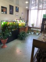 Лот: 25885488. Фото: 5. Продается студия аквариумного...
