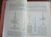 Лот: 25359478. Фото: 11. Хутор.Практический сельско-хозяйственный...