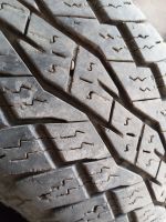 Лот: 25880594. Фото: 6. Toyo резина