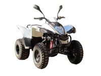 Лот: 25774825. Фото: 3. Квадроцикл ADLY ATV-150S. Авто, мото, водный транспорт