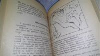 Лот: 11396446. Фото: 4. Oz (4092327) Исчезнувший мир... Красноярск