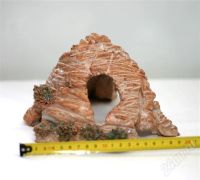 Лот: 282892. Фото: 3. Грот. Растения и животные