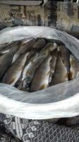 Лот: 16285039. Фото: 2. Хариус малосоленный. Продукты