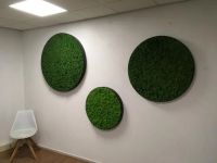 Лот: 21108114. Фото: 2. Декоративное панно из гипса и... Картины, панно