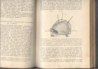 Лот: 23328022. Фото: 12. Зернов Д.Н. Руководство описательной...