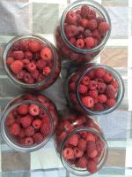 Лот: 20593292. Фото: 2. Малина (цена за 5 литров+ доставка... Продукты