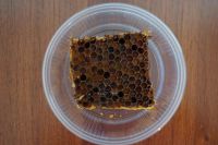 Лот: 3150297. Фото: 2. Перга в сотах. Продукты