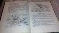 Лот: 7494502. Фото: 3. Приключения барона Мюнхаузена... Литература, книги