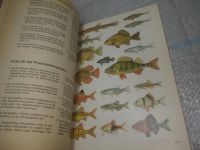 Лот: 25768523. Фото: 8. озю,вбр (00-46) Aquarienpraxis...