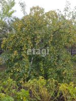Лот: 25295867. Фото: 12. 2-комн. дача , СНТ Шафран СНТ...
